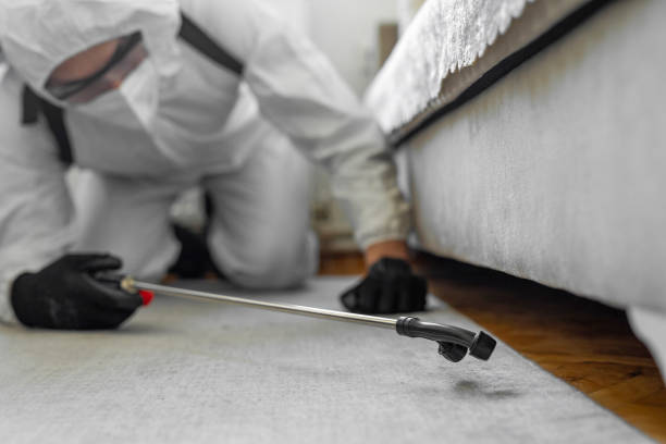 Professional Bed Bug Control technician working in Skidmore, TX